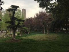 -堤角公园