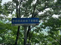 -灵栖洞天