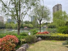 -新虹桥中心花园