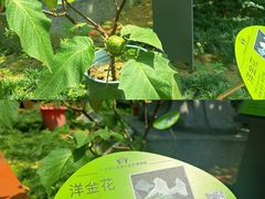 -广州神农草堂中医药博物馆