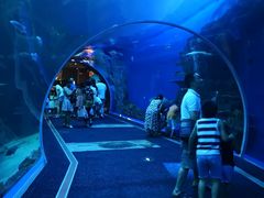 -成都浩海立方海洋公园