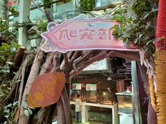 -正佳雨林生态植物园