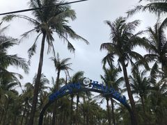 -白沙湾海滩