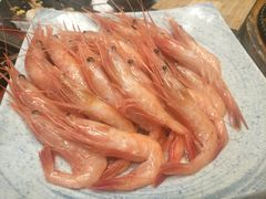 北极甜虾-松坂屋日料自助(长城路店)