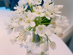 -屋里厢上海菜馆