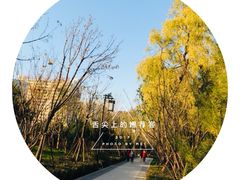 -迎泽公园
