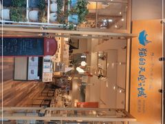 -猫的天空之城概念书店(束河店)