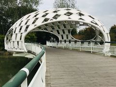 -同里国家湿地公园
