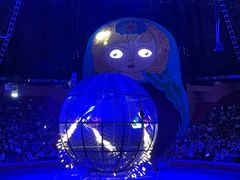 -俄罗斯国家大马戏团