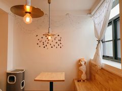 -猫腻·猫咖·撸猫馆(星光大道店)