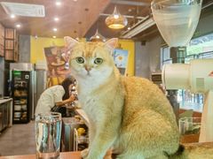 -咖法森林·咖啡  酒吧(天河店)