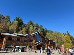 -五营红松林海景区