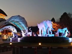 -清迈夜间动物园