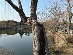 -无锡蠡湖国家湿地公园-蠡园