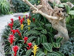 -北京植物园-展览温室