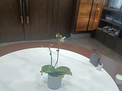 -酒蜻蜓·庭院私房菜(天元东路店)