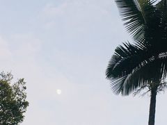 -四海公园(南山区)