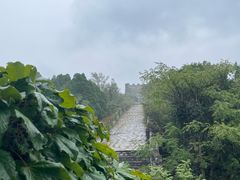 -原山国家森林公园