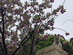 -美式眼镜·授权蔡司.依视路.尼康.豪雅.明月(人民广场店)