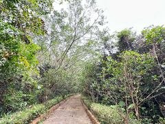 -广东茂名森林公园