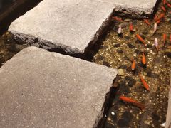 -邈墨茶馆(凤起路店)