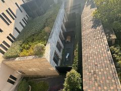 -上海崇明金茂凯悦酒店