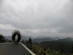 -武陵山森林公园