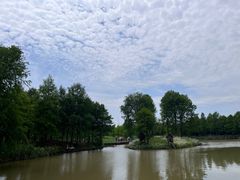 -宁波杭州湾国家湿地公园