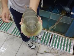 -永安鱼庄·镇江菜(丁卯店)