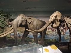 -湖南省地质博物馆