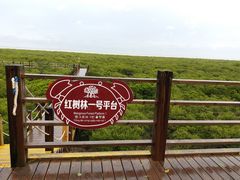 -北海金海湾红树林生态旅游区