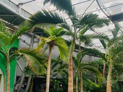 -北京植物园-展览温室