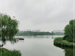 -大兴滨河森林公园