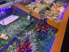 -鼎原力量东北吊炉烧烤(幸福街店)