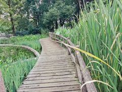 -成都市活水公园