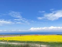 -青海湖国家重点风景名胜区