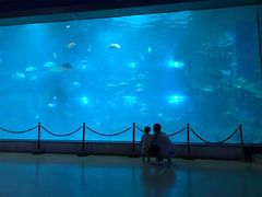 -福州罗源湾海洋世界旅游区