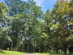 -中国科学院西双版纳热带植物园