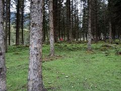 -硗碛藏寨·神木垒景区