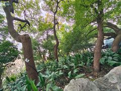 -吴山景区