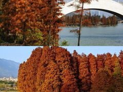 -星湖旅游景区七星岩