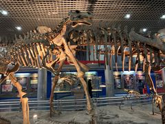 -国家自然博物馆