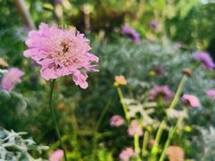 -徐家汇源景区-衡山公园