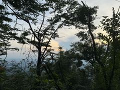 -紫金山山顶公园