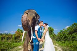 点击看大图 -太古映画婚纱摄影(天河店)