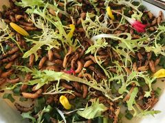 -雀蓝川菜(奥体广场店)