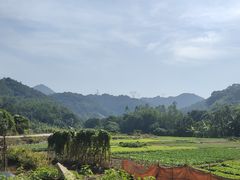 -黄埔油麻山森林公园