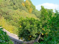 -杭州半山国家森林公园