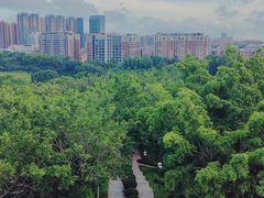 -深圳龙潭公园