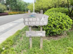 -剑鱼皮划艇俱乐部(石湖基地)